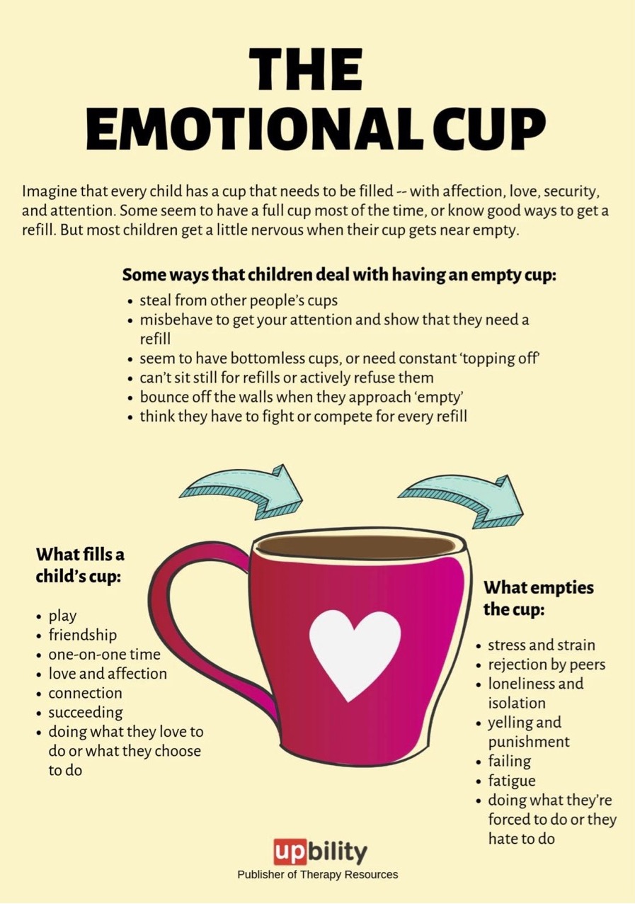 The Emotional Cup Theory – A Message from our School Councillor