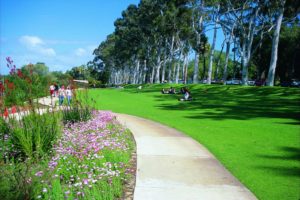 Year 3 and 4 Excursion to King Park - Tuesday, 4th June