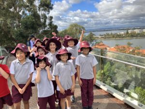 Year 3 and Year 4 Excursion to Kings Park Wrap up