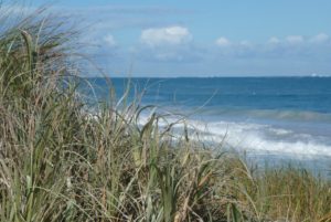 Year 4 Reef Engineers Incursion - Wednesday 4th December